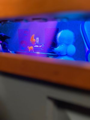 The Secret Life Of Pets: Off The Leash by null