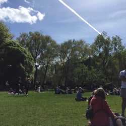 Svandammsparken - Stor fin yta med bra gräs att sitta på.