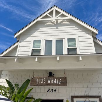 Blue Whale - Cafes Near Me - La Jolla, California Blue Whale - Cafes Near Me - La Jolla, California
