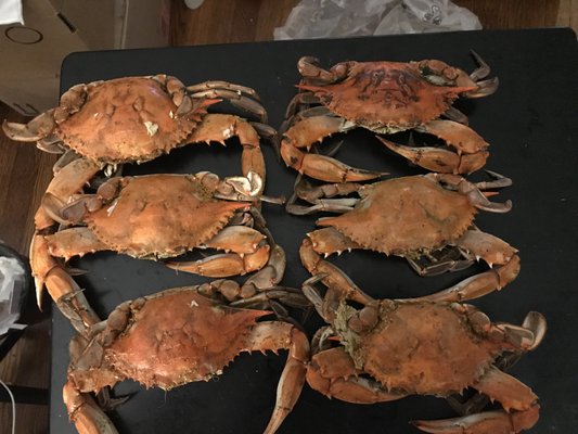 T L MORRIS SEAFOOD - Updated July 2026 - 32 Photos & 10 Reviews