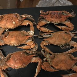 T L Morris Seafood