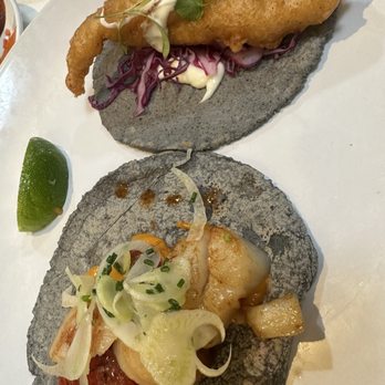 Holbox - Fish and scallop taco - Latin American Near Me - Los Angeles, California Holbox - Fish and scallop taco - Latin American Near Me - Los Angeles, California