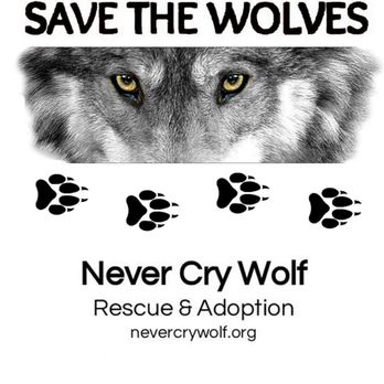 Wolfdancers' Trading Post - https://wolfdancers-trading-post.company.site/ If you go to smileamazon.com and put in nevercrywolfrescue.com Amazon will donate a portion - Animal Shelters Near Me Wolfdancers' Trading Post - https://wolfdancers-trading-post.company.site/ If you go to smileamazon.com and put in nevercrywolfrescue.com Amazon will donate a portion - Animal Shelters Near Me