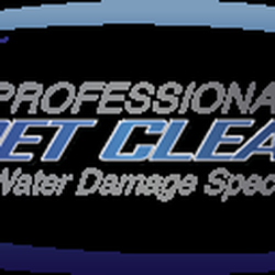 Professional Carpet Cleaners