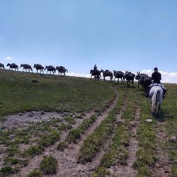 Boulder Basin Outfitters