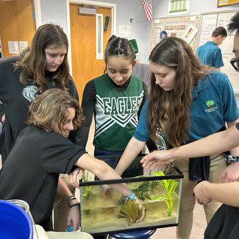 Greenwood School - Middle Schools & High Schools Near Me - Jacksonville, Florida Greenwood School - Middle Schools & High Schools Near Me - Jacksonville, Florida