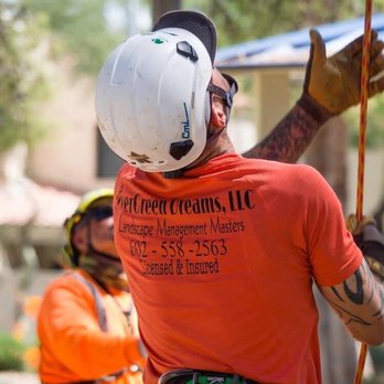 EverGreen Dreams - Recreational climbing - Tree Services Near Me