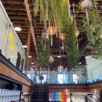 Better Buzz Coffee Hillcrest - Upstairs and their beautiful plants - Coffee & Tea Near Me - San Diego, California