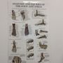 Photo of Sunshine Ankle and Foot Experts