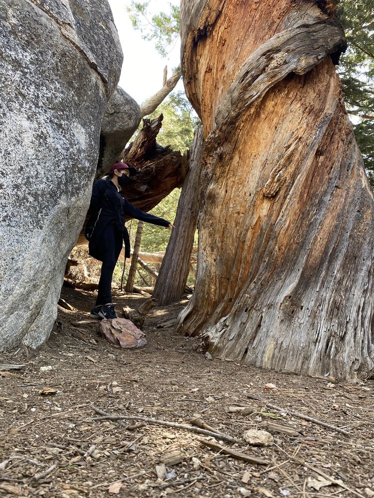 HUMBER PARK Updated August 2024 131 Photos & 48 Reviews 24559