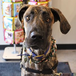 Chuck & Don's Pet Food & Supplies