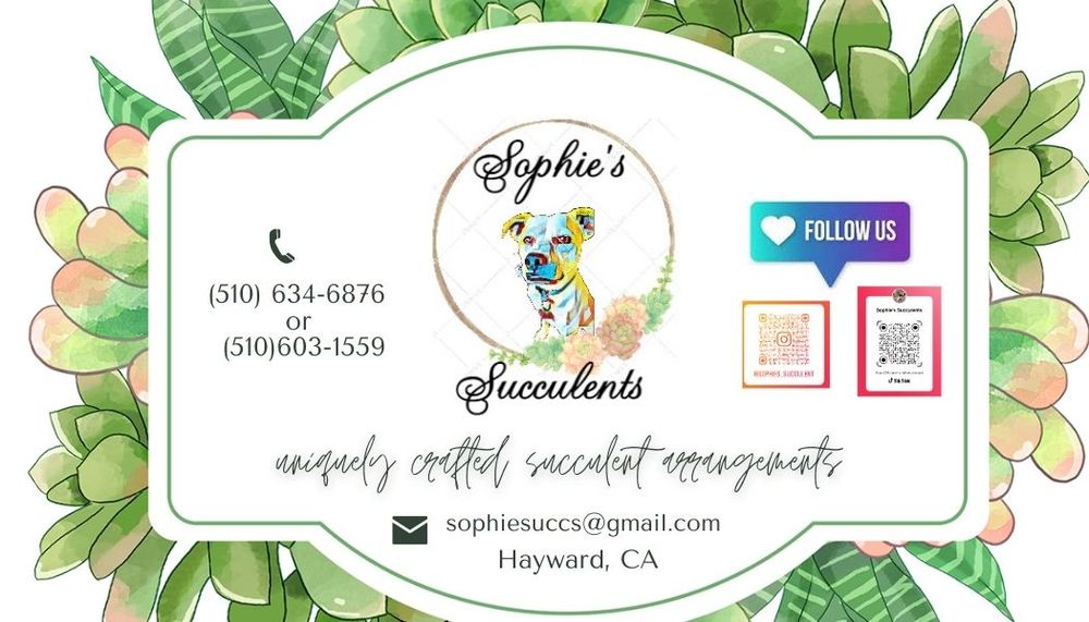 Nurseries & Gardening SOPHIE’S SUCCULENTS 13 Photos 2355