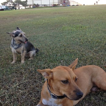 Crestview Community Park - Cruzing... - Parks Near Me - Waipahu, Hawaii