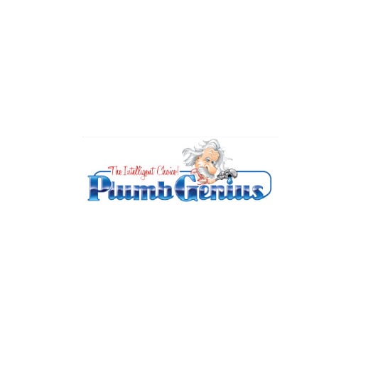 Slide of Plumb Genius