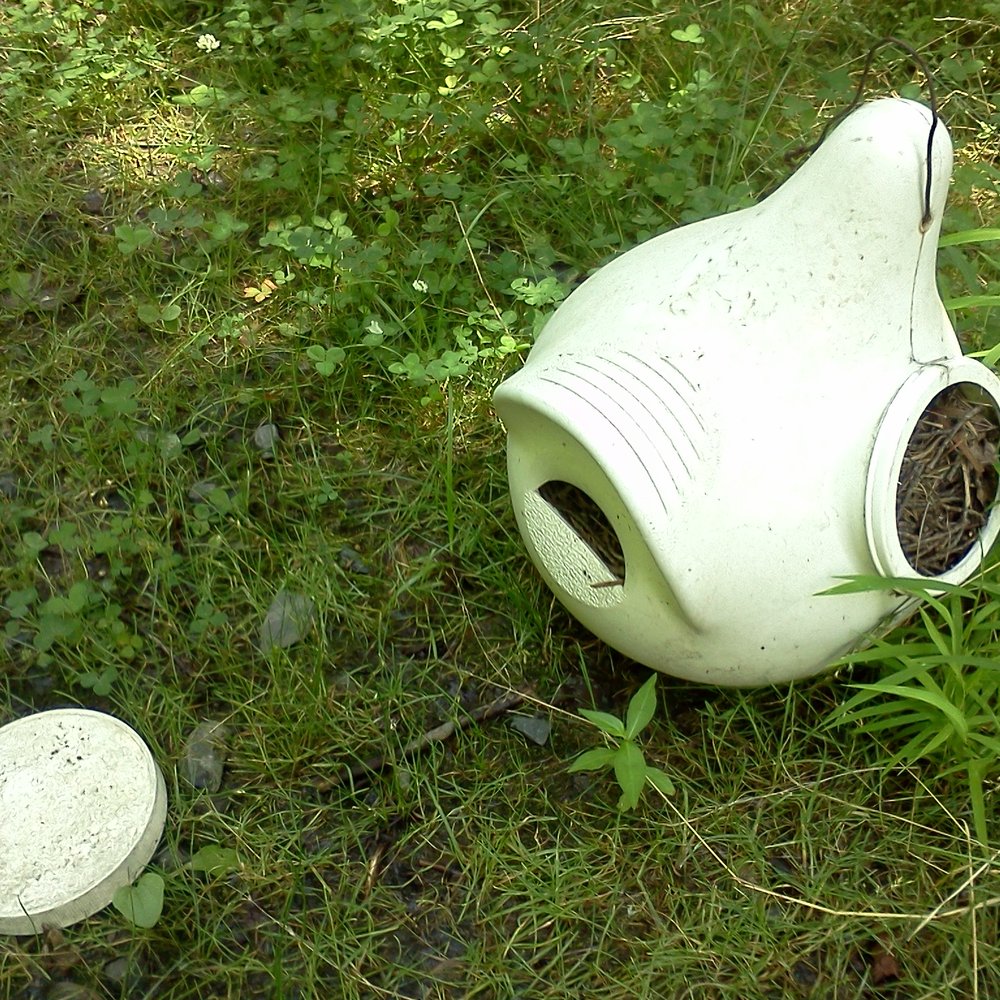 Plainsboro Preserve - Purple Martin home fallen on the ground - Parks Near Me - Plainsboro, New Jersey Plainsboro Preserve - Purple Martin home fallen on the ground - Parks Near Me - Plainsboro, New Jersey