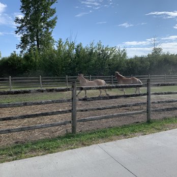 Equestrian Connection - Physical Therapy Near Me - Lake Forest, Illinois