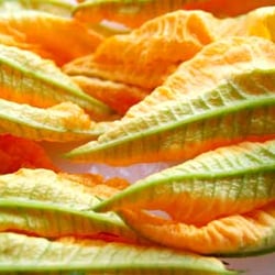 Fiori di Zucca