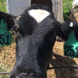 Neighborly Farms
