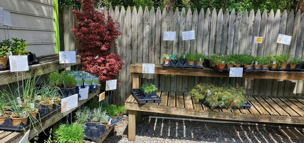 Sneed's Nursery - beekeeping in Richmond, VA