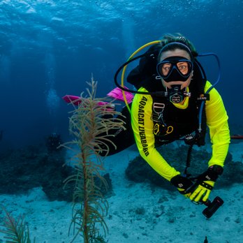 Scuba World - Scuba Diving Near Me - Dover, Delaware Scuba World - Scuba Diving Near Me - Dover, Delaware
