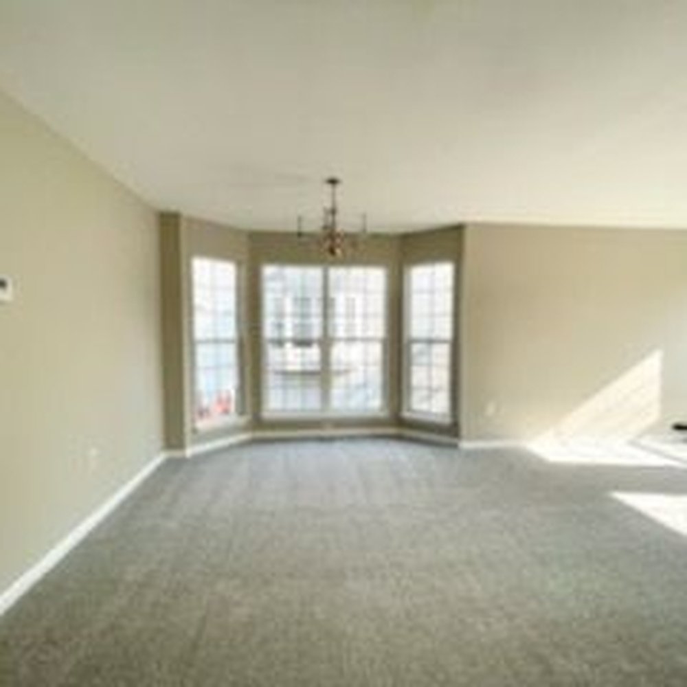 Carpet Royal & Rug - Carpeting Near Me - Manassas, Virginia Carpet Royal & Rug - Carpeting Near Me - Manassas, Virginia