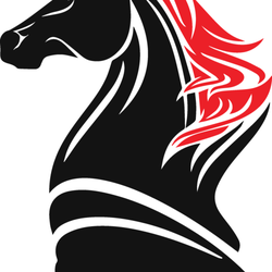 Black Knight Marketing - Black Knight Marketing Ltd.