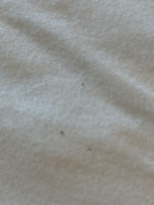 Der Ritterhof Inn by null