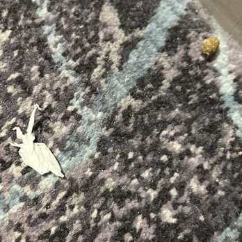 DoubleTree by Hilton Bath - Trash in hallway that was there from arrival until departure - Hotels Near Me - Bath, BAS