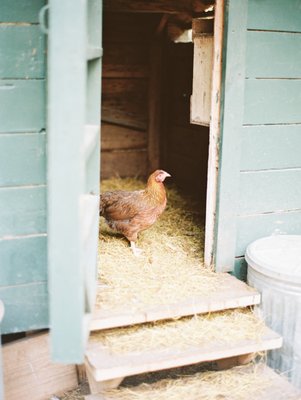 Blackwood Educational Land Institute by null