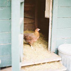 Blackwood Educational Land Institute - Kentucky Coop