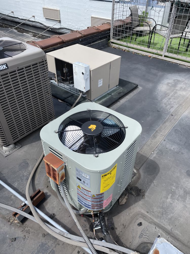 Slide of Veracity Services