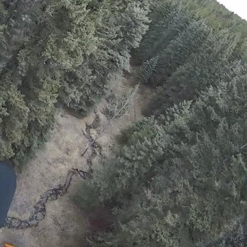 Denver Adventures - Zipline Tours - One of our views from the wrist camera. - Mountain Biking Near Me - Conifer, Colorado Denver Adventures - Zipline Tours - One of our views from the wrist camera. - Mountain Biking Near Me - Conifer, Colorado