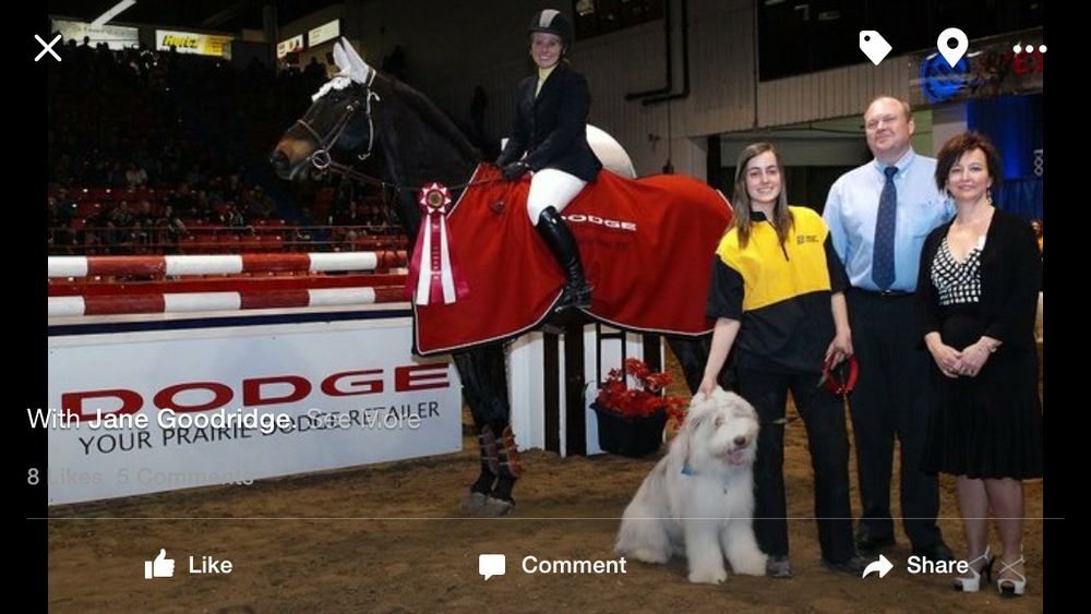 GRAND OAK MEADOW STABLES Updated October 2024 21 Photos 1237