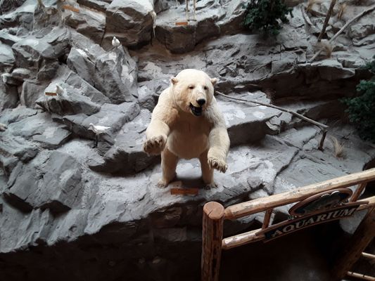 Bass Pro Shops (Formerly Cabela's) by null