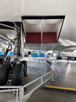 The Museum of Flight by null