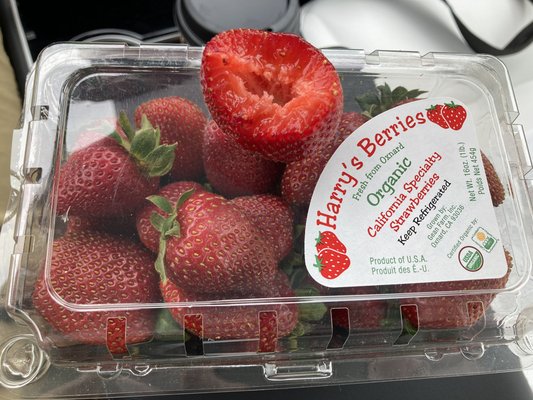 Harry's Berries by null