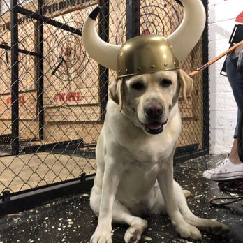 Throw It! - Viking Lab!! - Axe Throwing Near Me - San Diego, California