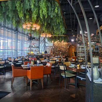 Alpana - Dining room - New American Near Me - Chicago, Illinois