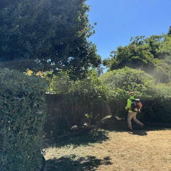 A J Tree Service - Tree Services Near Me - Sacramento, California