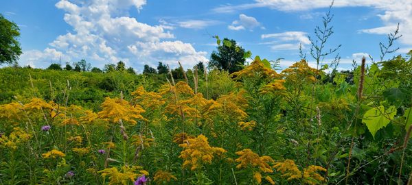 Green Lakes State Park by null