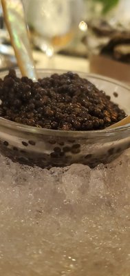 Caviar Russe Miami by null