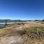 Photo of Martin Luther King Regional Shoreline Park
