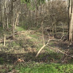 Peckman Preserve