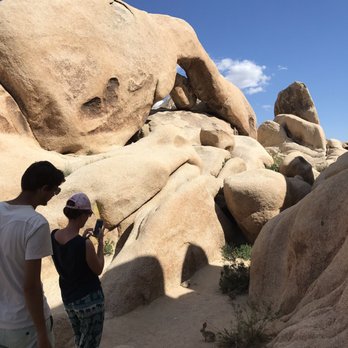 Arch Rock - Bunnies and people - Hiking Near Me - Twentynine Palms, California