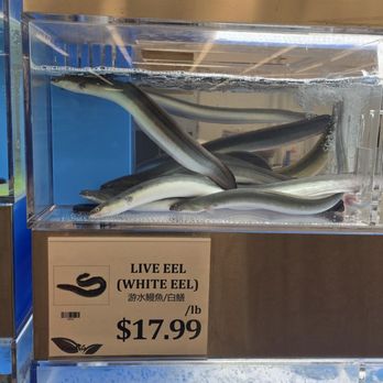 Pan-Asian Supermarket - Live seafood - International Grocery Near Me - West Allis, Wisconsin Pan-Asian Supermarket - Live seafood - International Grocery Near Me - West Allis, Wisconsin
