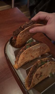 Gato Exotico by null