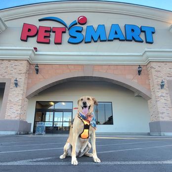 PetSmart - Fresh from a pawdicure - Pet Training Near Me - Las Vegas, Nevada PetSmart - Fresh from a pawdicure - Pet Training Near Me - Las Vegas, Nevada