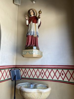 San Carlos Cathedral by null