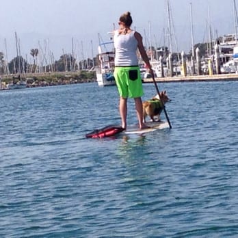 Channel Islands Kayak Center - Someone with their dog. Cool - Rafting/Kayaking Near Me - Oxnard, California