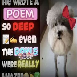 The Peanut